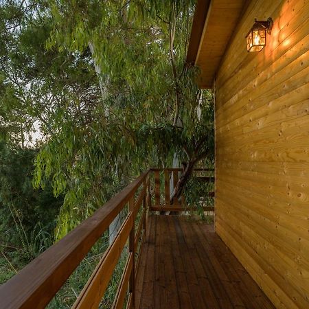 River Treehouse Laganas Buitenkant foto