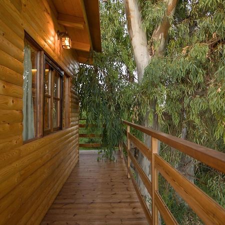 River Treehouse Laganas Buitenkant foto