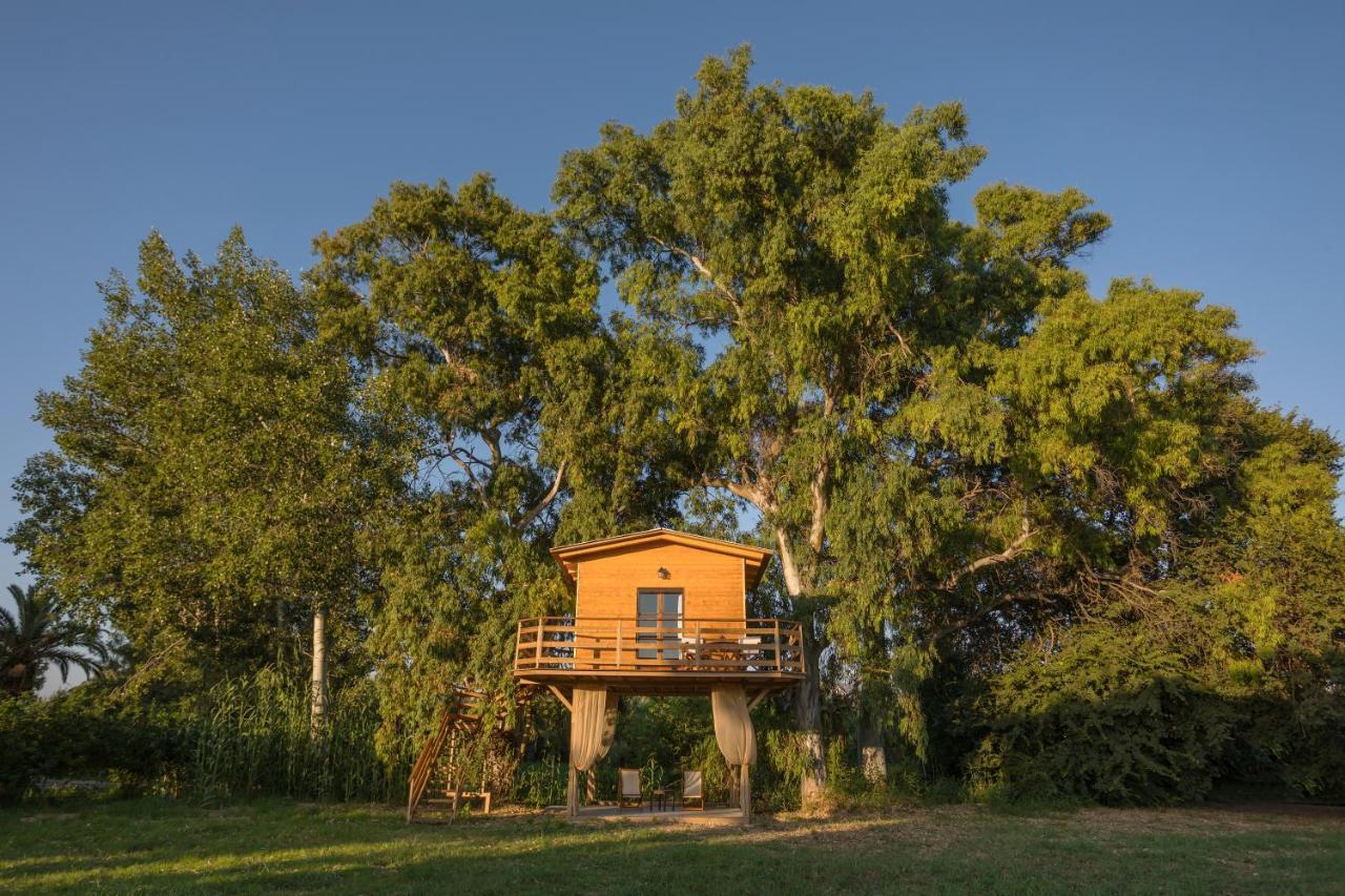 River Treehouse Laganas Buitenkant foto